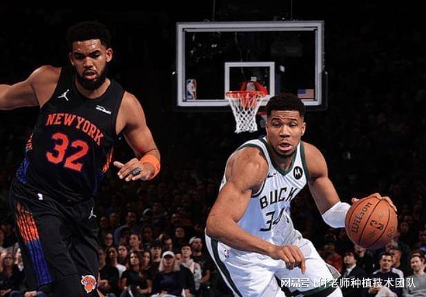 乐鱼体育官网包含赛地聚焦——全明星赛赛后热度飙升，密尔沃基雄鹿扳平良机，悬念犹存，细节决定成败的词条